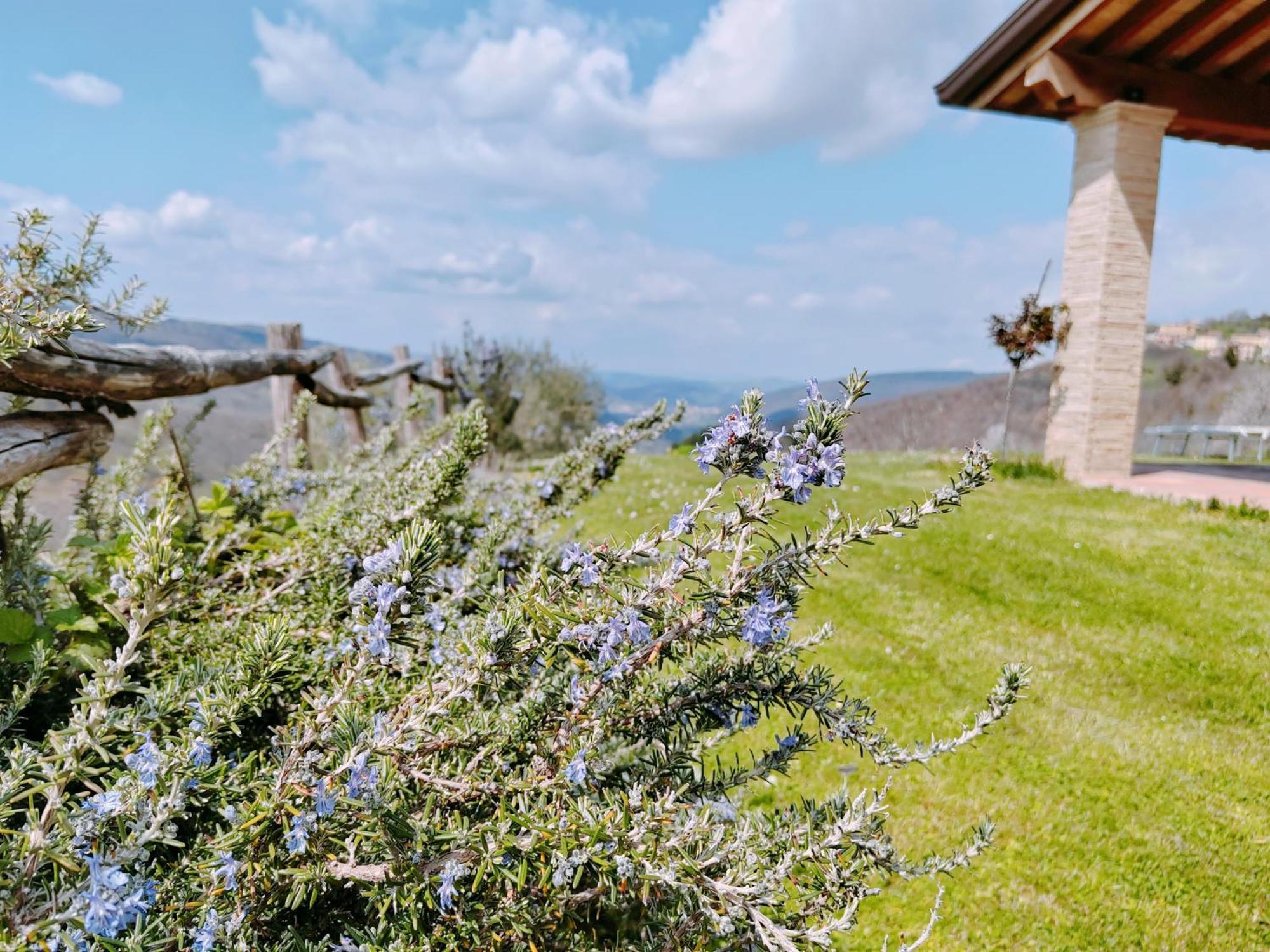 Alba Dei Due Soli B&B Nocera Umbra Kültér fotó